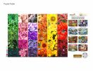 Flower Grid Jigsaw Puzzles 1000 Piece