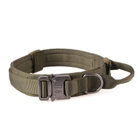 Nylon Outdoor Traction Adjustable large And Medium-Sized Dog Pen (Option: Green  silver buckle-XL)